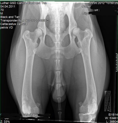 Full x-ray